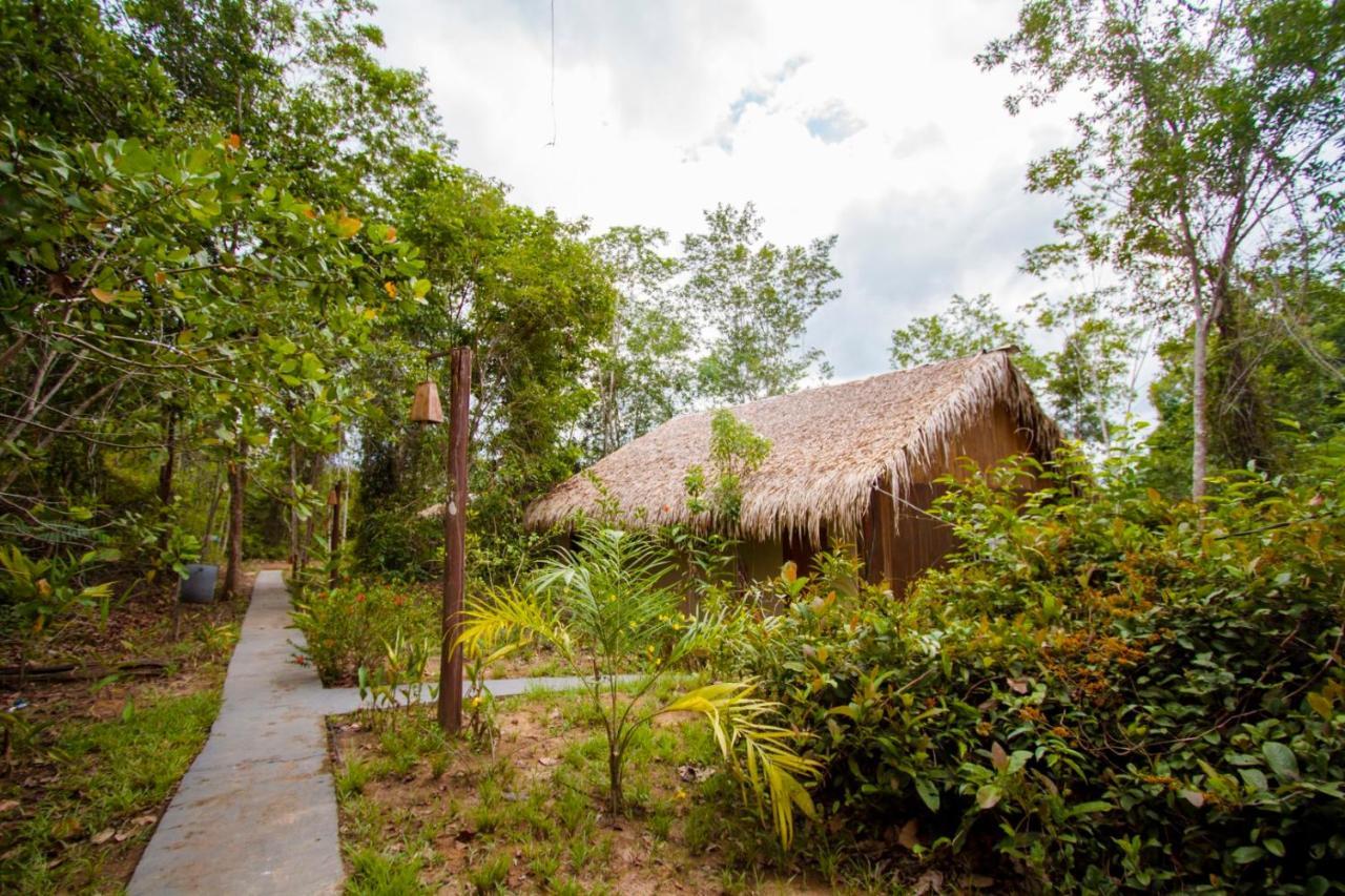 Amazon Turtle Lodge Careiro Dış mekan fotoğraf