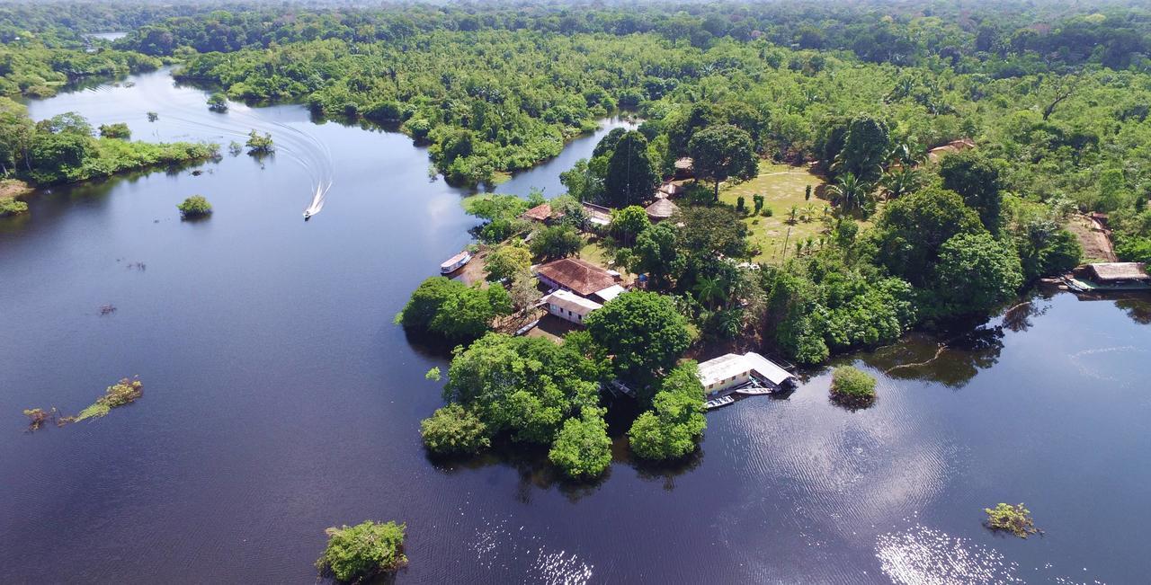 Amazon Turtle Lodge Careiro Dış mekan fotoğraf
