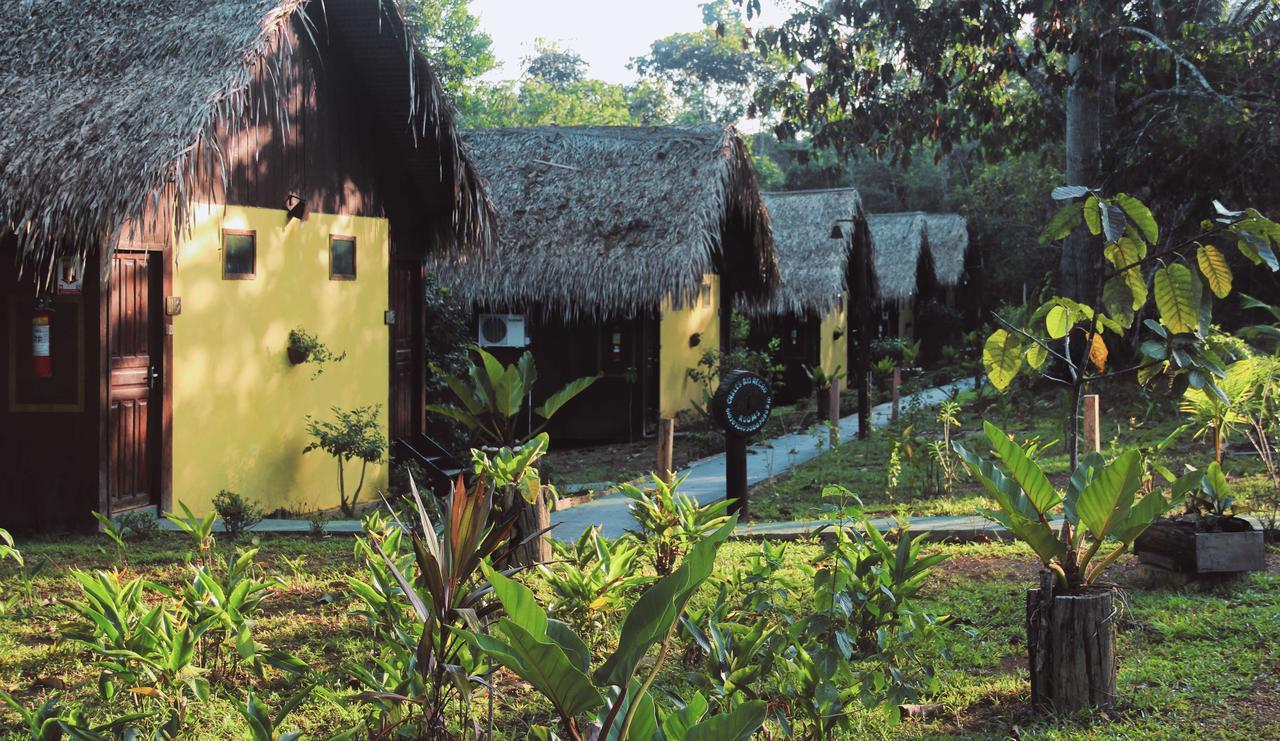 Amazon Turtle Lodge Careiro Dış mekan fotoğraf