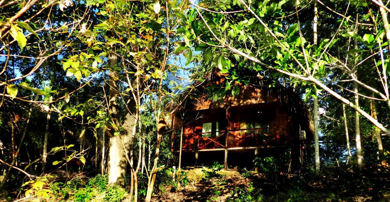 Amazon Turtle Lodge Careiro Dış mekan fotoğraf