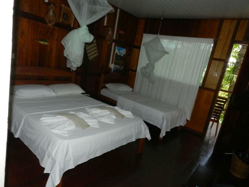 Amazon Turtle Lodge Careiro Dış mekan fotoğraf